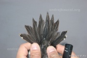 CZEP26-173 d